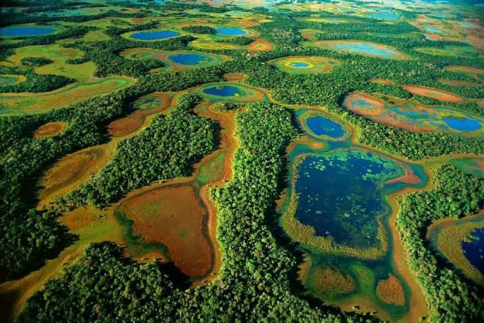 pantanal-mato-grosso
